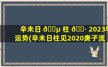 辛未日 🌵 柱 🕷 2023年运势(辛未日柱见2020庚子流年运程)